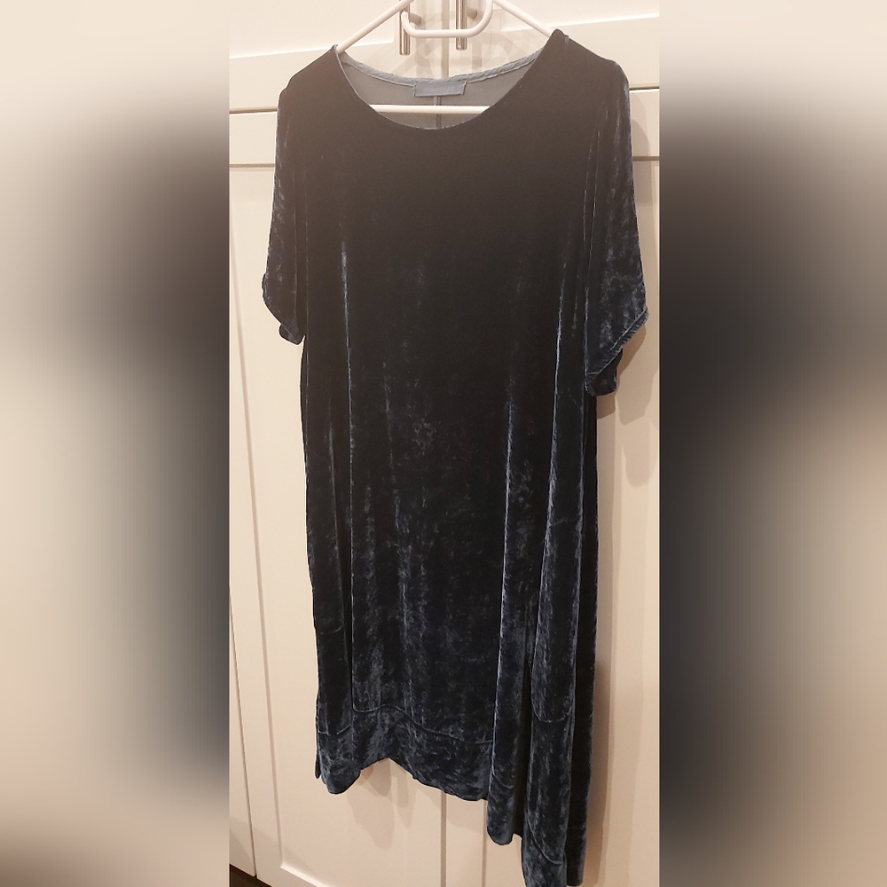 Cut Loose Elegant Velvet Dress - Picture 7 of 7